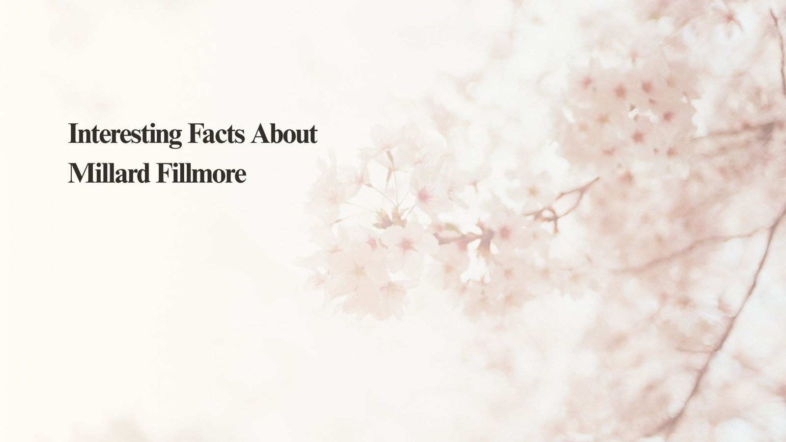 Interesting Facts About Millard Fillmore